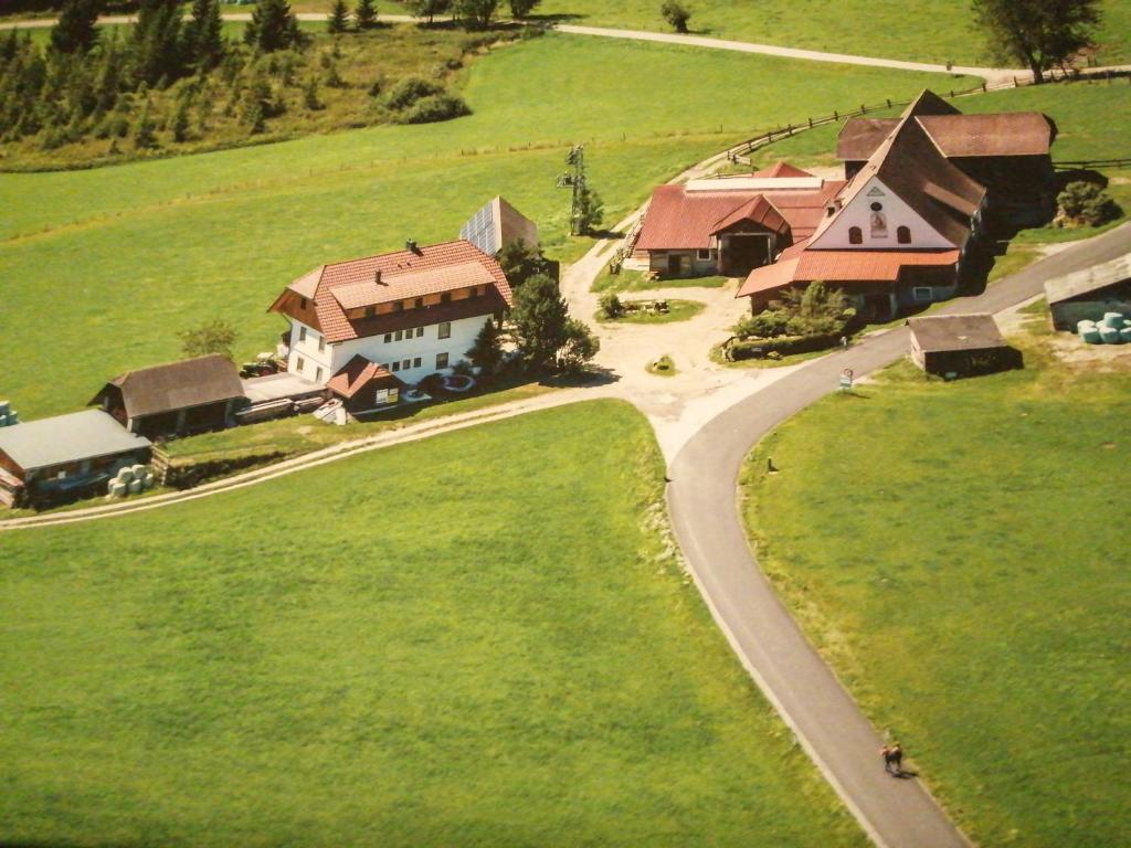 ZeutschachにあるErholung am Bauernhof bei Familie Seidl / Messnerの道路付き農場の空見