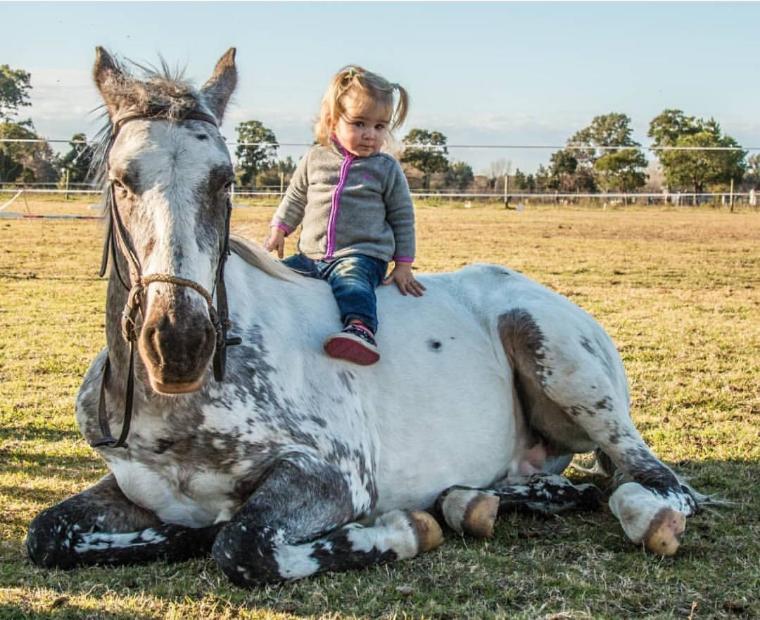 Montar a caballo en el albergue o alrededores