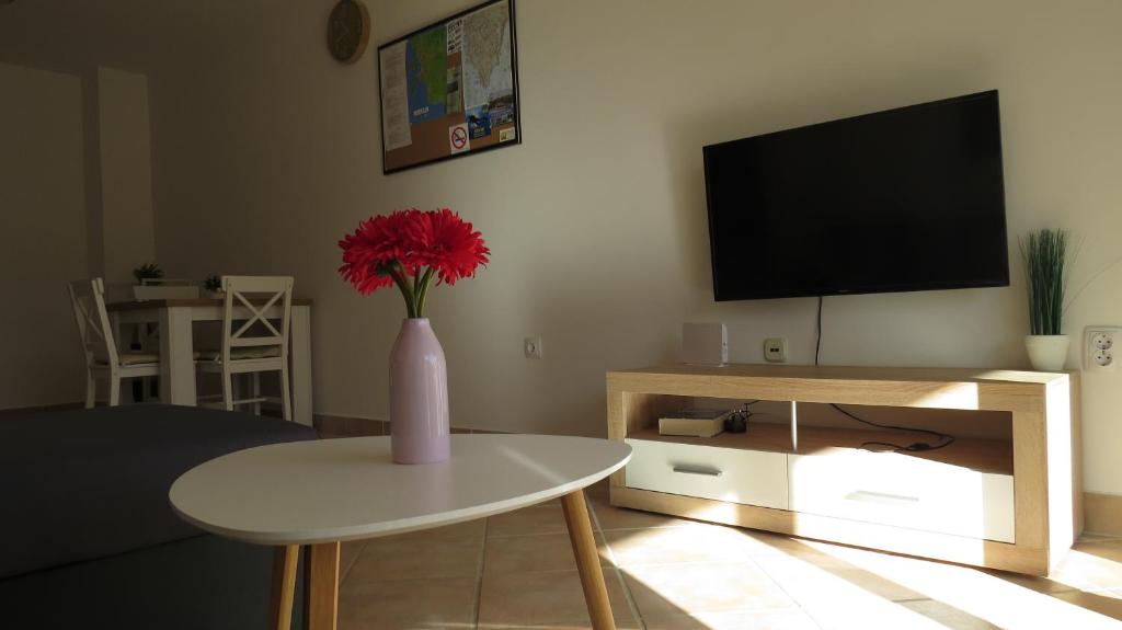 TV a/nebo společenská místnost v ubytování Apartments LUCIA