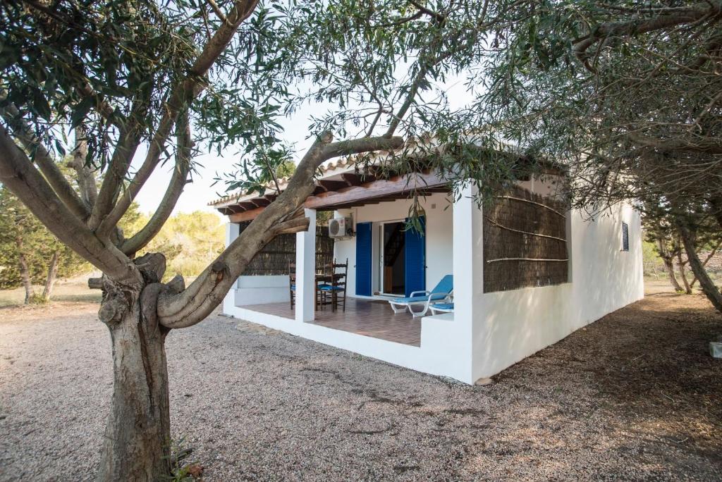 a white house with a tree in front of it at CASA LAIA Cala Saona in Cala Saona