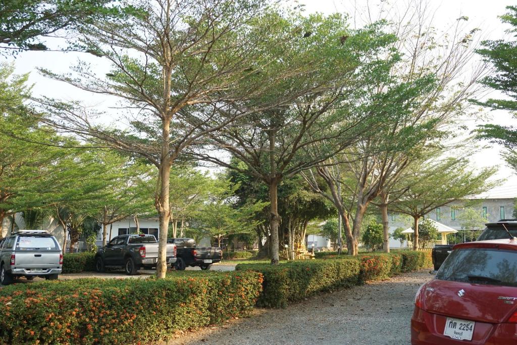 尖竹汶แกรนด์ ฟอเรสท์ Grand Forest的相册照片
