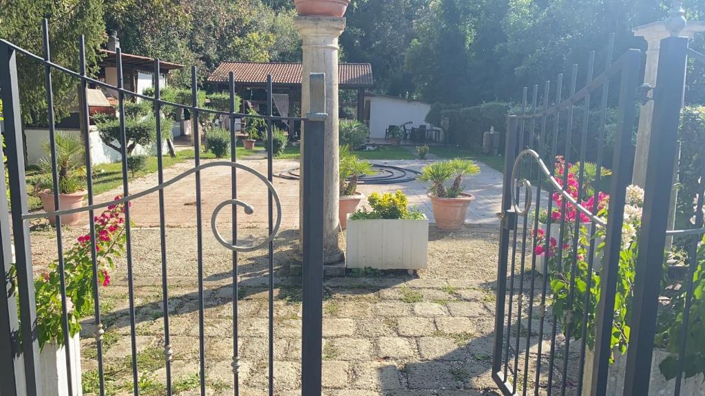 Zahrada ubytování Park Hotel Serenissima