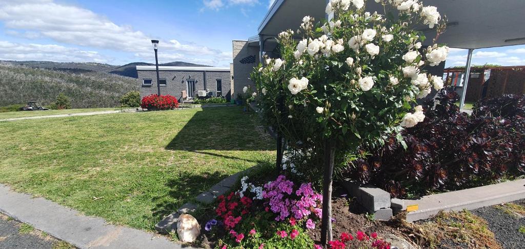 a tree in a garden with flowers in a yard at Velika’ in Eden Park