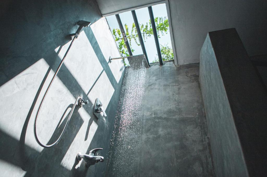 Nature Rex Hostel - 3