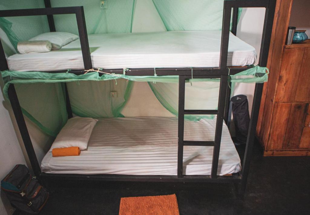 Nature Rex Hostel - 12