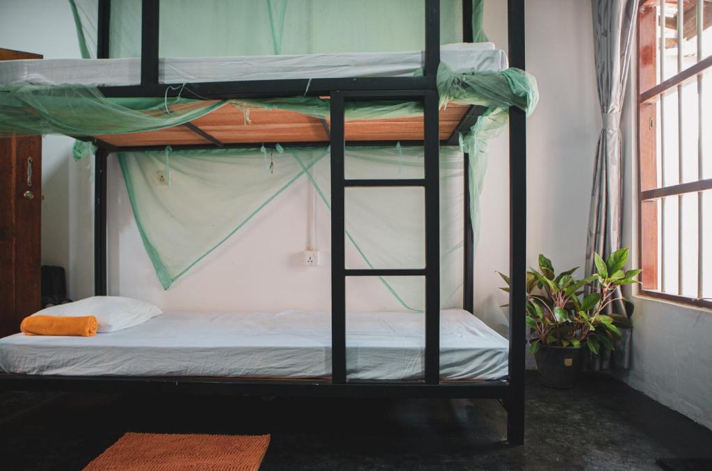 Nature Rex Hostel - 11