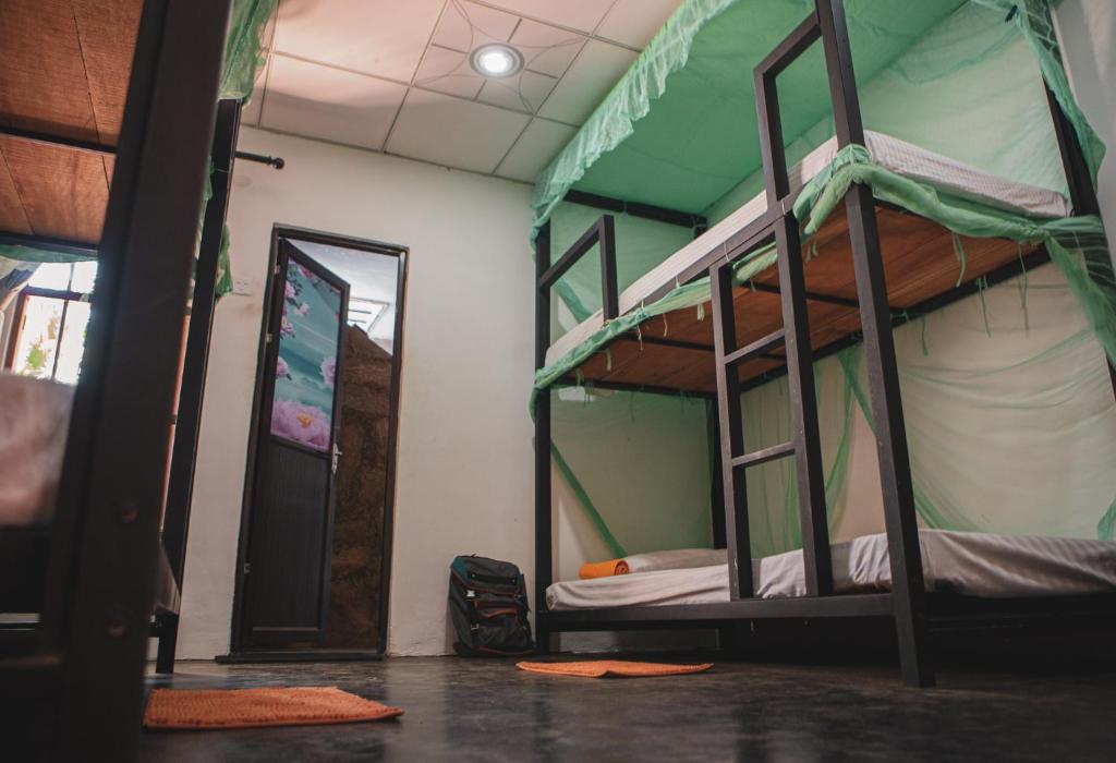 Nature Rex Hostel - 9