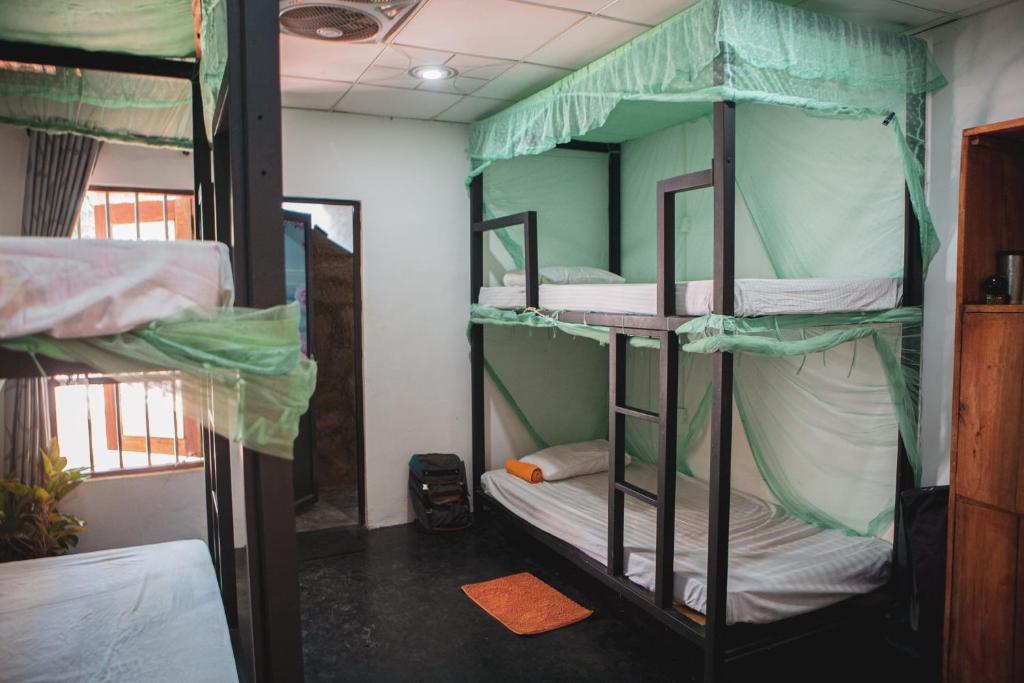 Nature Rex Hostel - 10