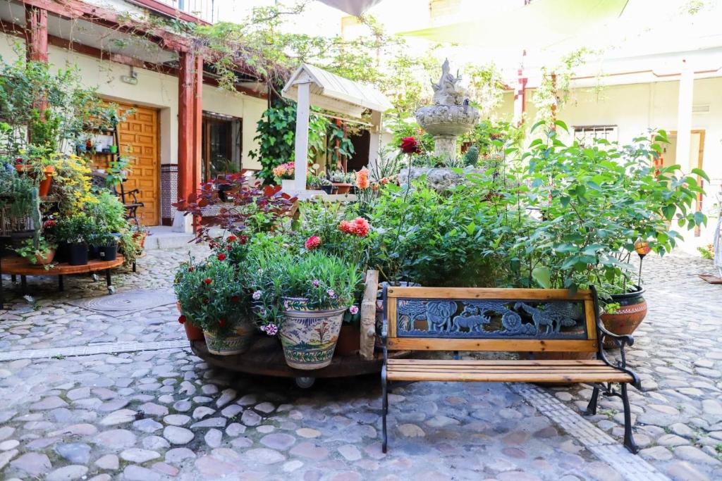 un centro ajardinado con macetas y flores en Hostal Castilla, en Aranjuez