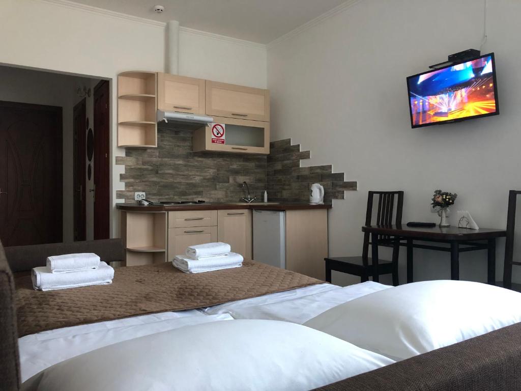 a bedroom with a kitchen and a tv on the wall at АВІА in Uzhhorod