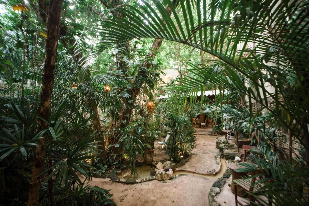 un giardino con molte palme e piante di Hotel La Semilla a Member of Design Hotels a Playa del Carmen