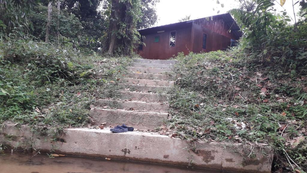 瓜拉江沙Chalet Kampong Guar, Manong的相册照片