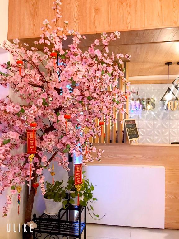 Kuchyň nebo kuchyňský kout v ubytování Louis Hotel - Bui Vien Walking Street
