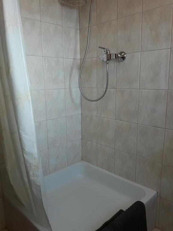 Kúpeľňa v ubytovaní Apartment Manuela