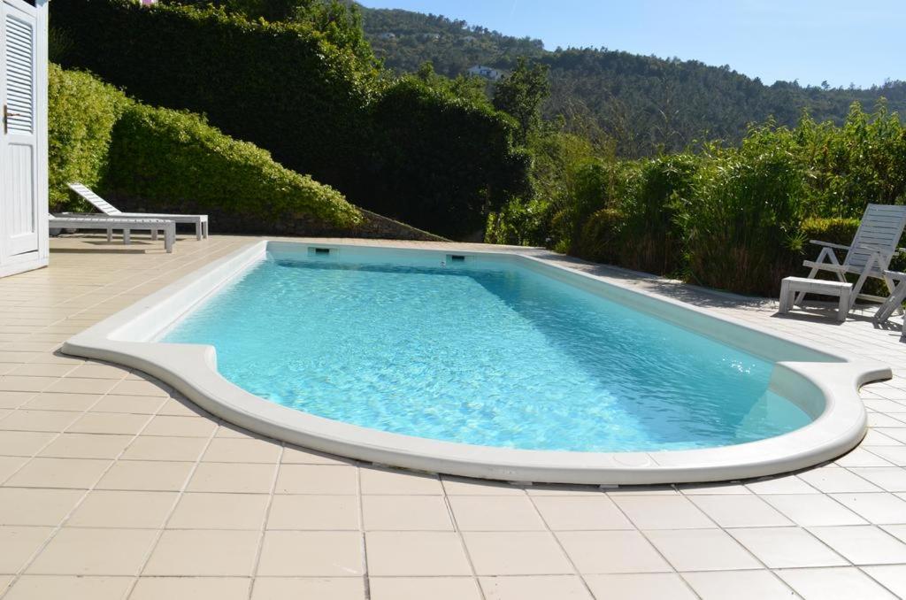 The swimming pool at or close to White Dream Spotorno