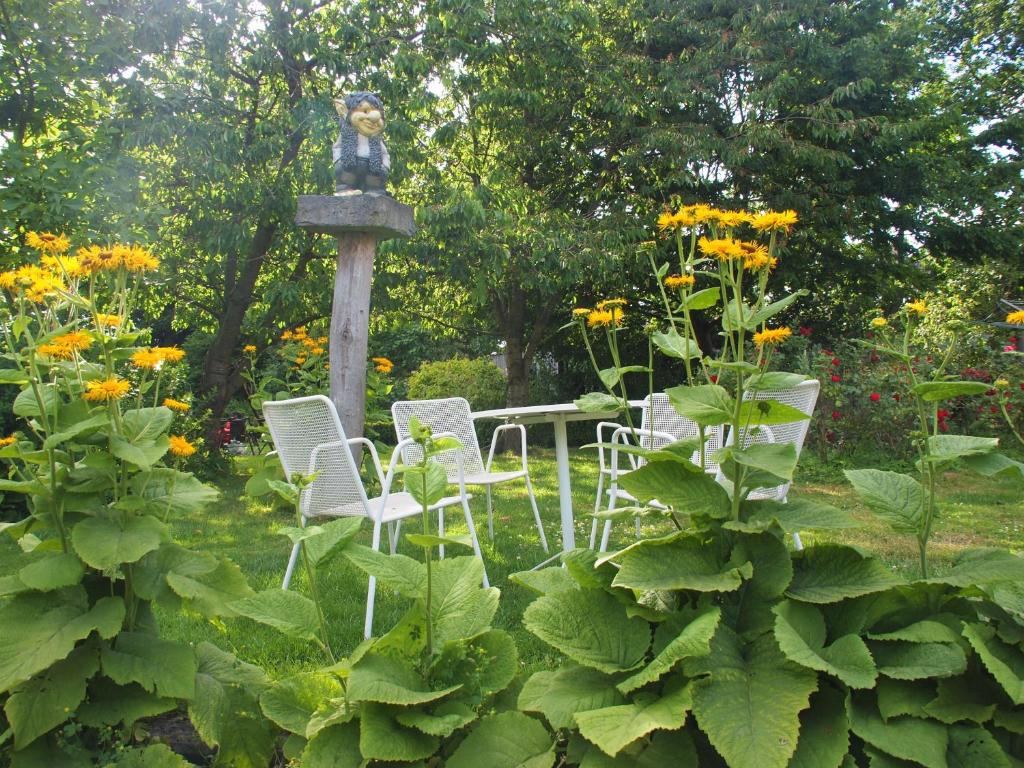 Zahrada ubytování Grote Goesting holiday house
