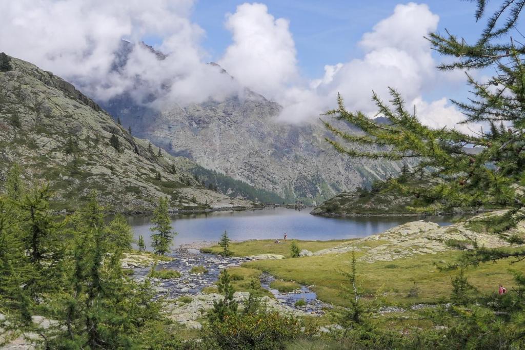 Příroda nedaleko apartmánu