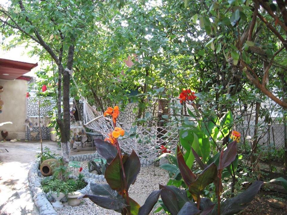 Zahrada ubytování Hostel Temuri