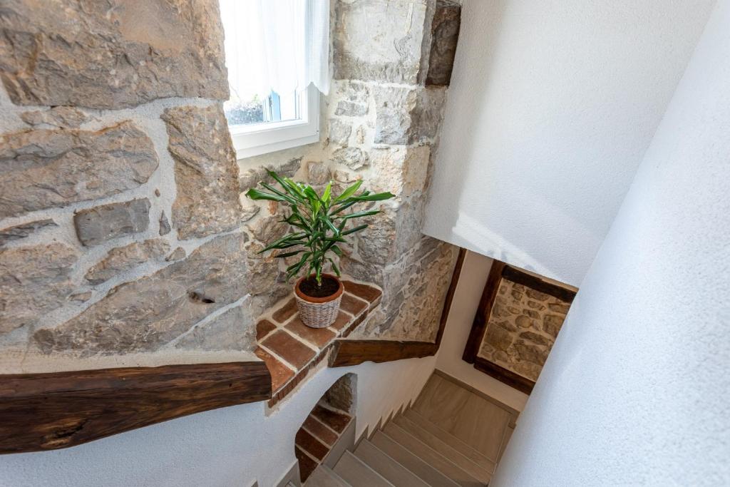 Zdjęcie z galerii obiektu Villa Elm w Krku