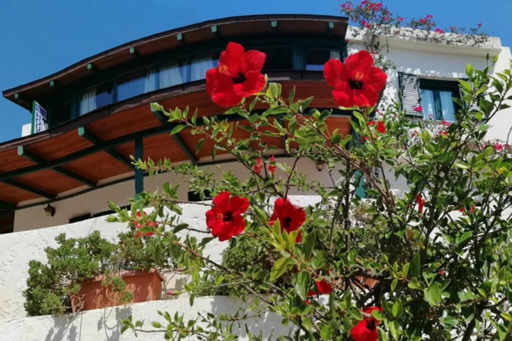 a bush with red flowers in front of a building at Strofi House in Argoulés