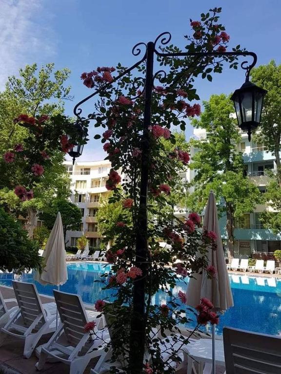 Bazén v ubytování Yassen Holiday Village nebo v jeho okolí