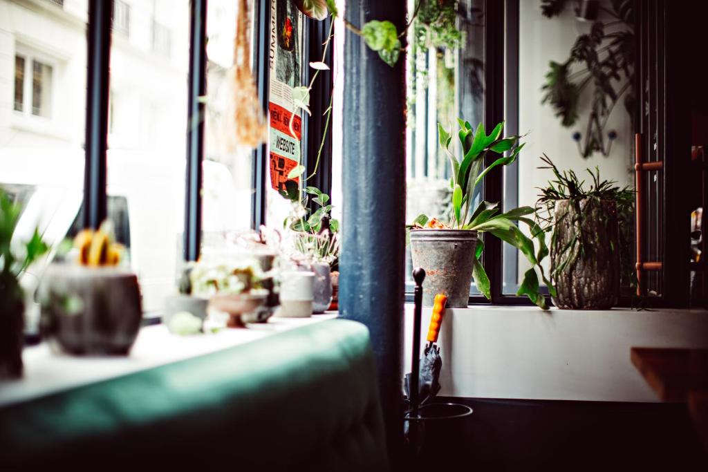 Hotel Monsieur Helder - Resim 13