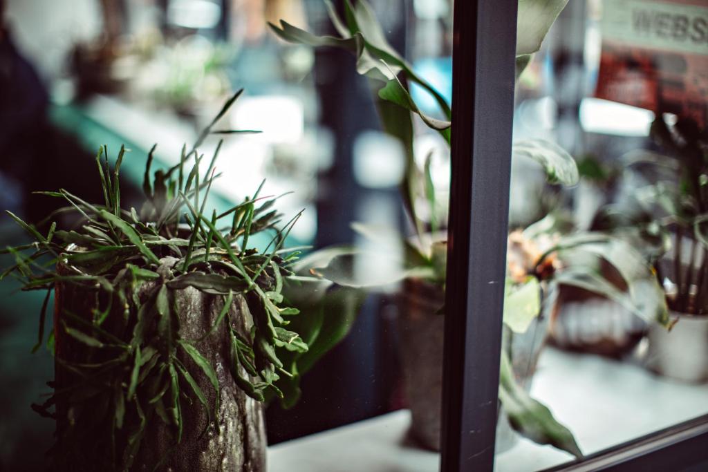 Hotel Monsieur Helder - Resim 18