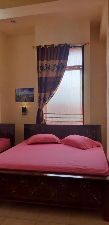 Viola Guest House Hotel