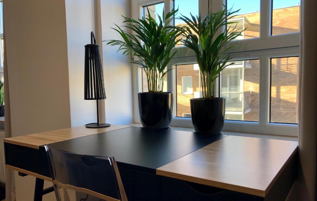 Neon Loft Apartament Bukowskiego - 11