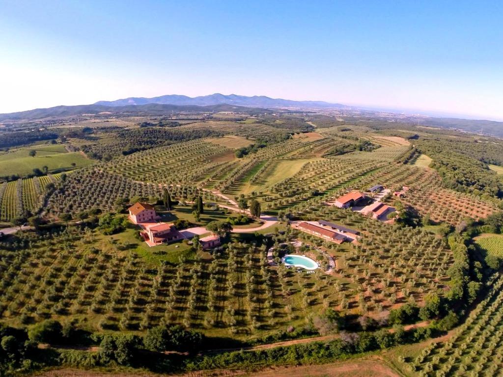una vista aérea de un viñedo con una casa y una granja en Tenuta Agricola Fraschiera, en Massa Marittima