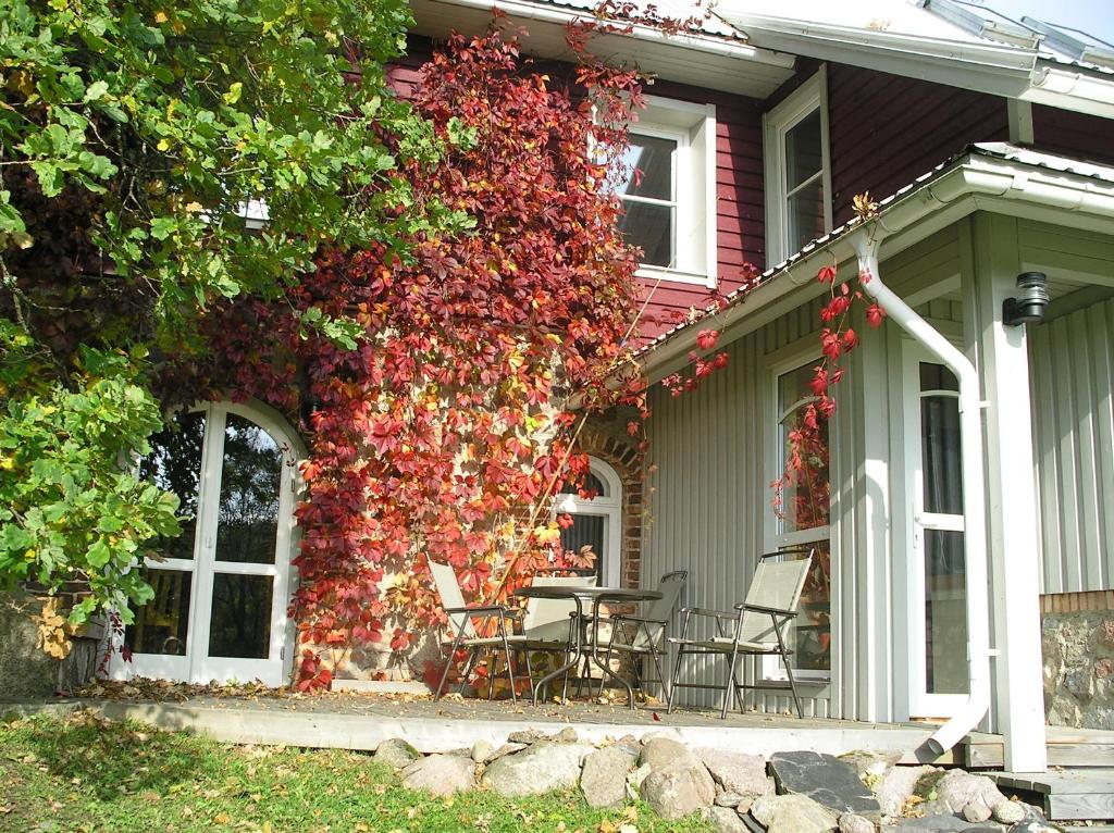 a house with a table and chairs next to a red vine at Pohlametsa Holiday House in Nüpli