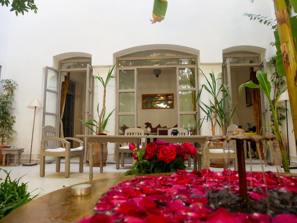 Zahrada ubytování Riad Dar Aman