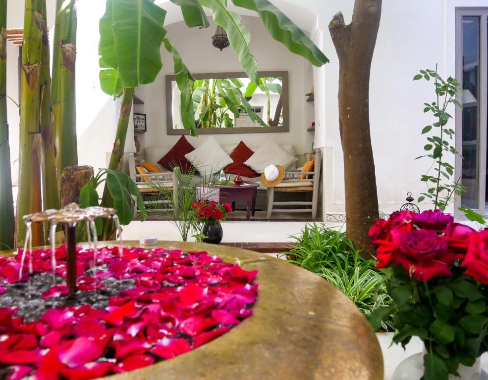 Zahrada ubytování Riad Dar Aman