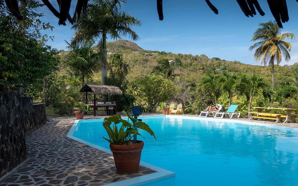 a swimming pool with a mountain in the background at Firefly Estate Bequia in Crescent Beach
