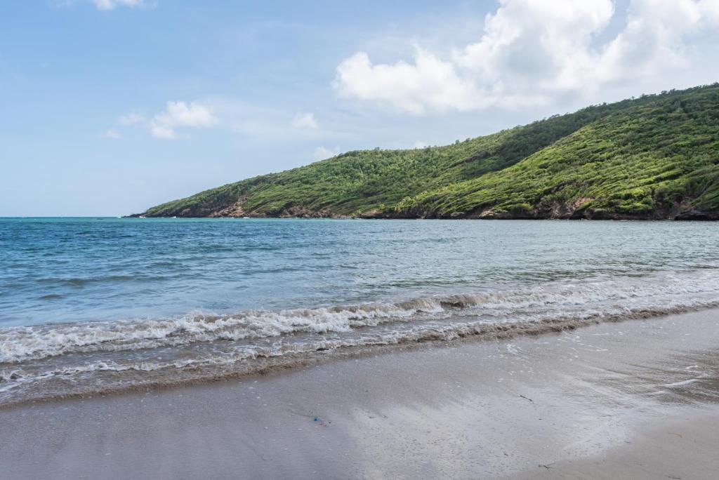 a beach with the ocean and a hill in the background at Firefly Estate Bequia in Crescent Beach