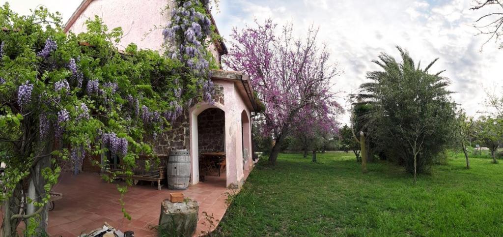 a building with a bunch of purple flowers on it at Bioagriturismo NURE in Santa Maria la Palma
