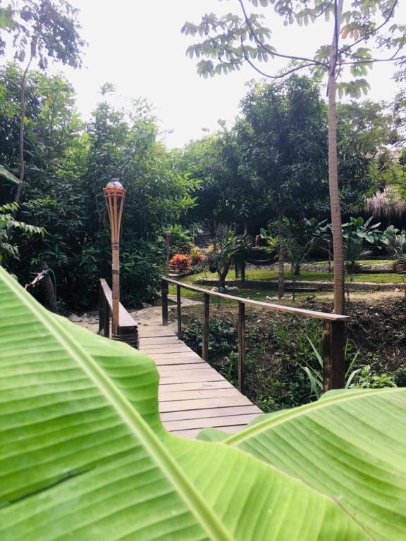 Giardino di Hostal Mama Tayrona