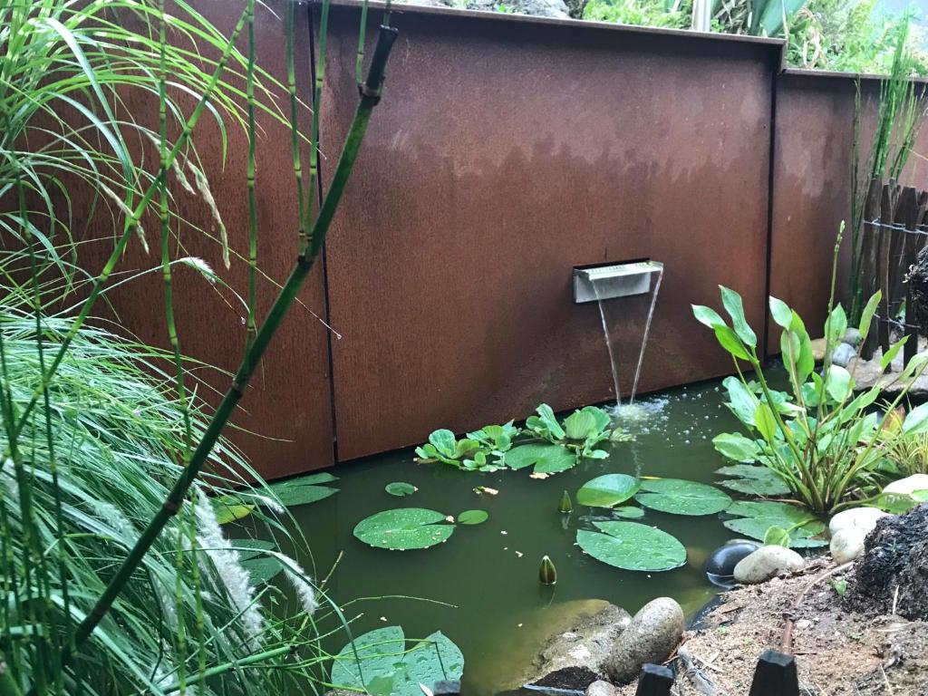 a koi pond in a garden with a water fountain at Rez de Jardin Terrasse Literie Haut de gamme Proche Gare et Hyper Centre in Quimper