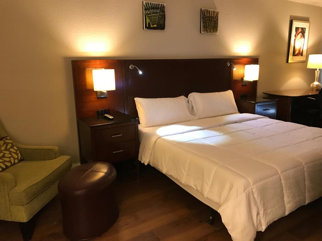 Stratus Suites Boutique Hotel - King Suite