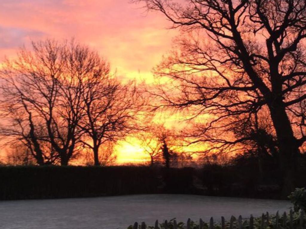 a sunset with trees in front of a field at Lemondrop Cottage in Southburgh