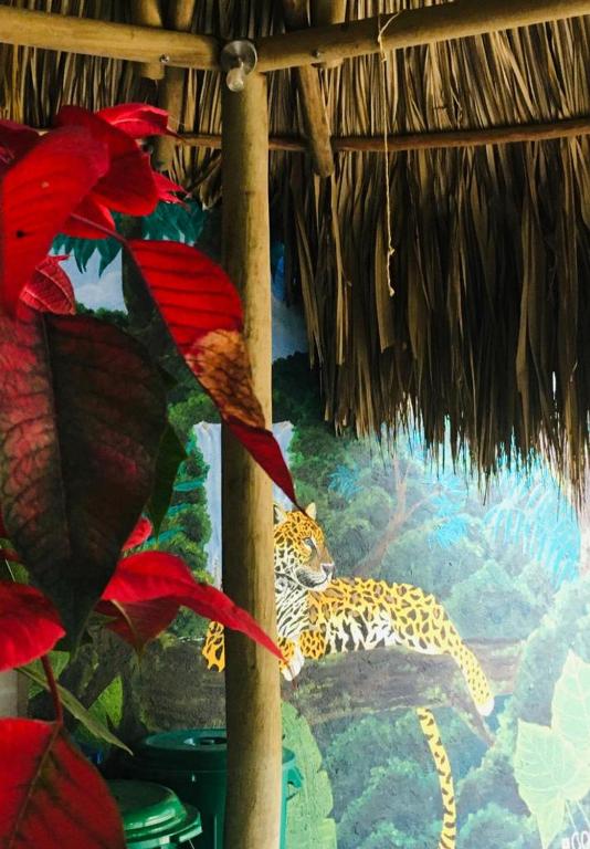 Foto dalla galleria di Hostal Mama Tayrona a Santa Marta