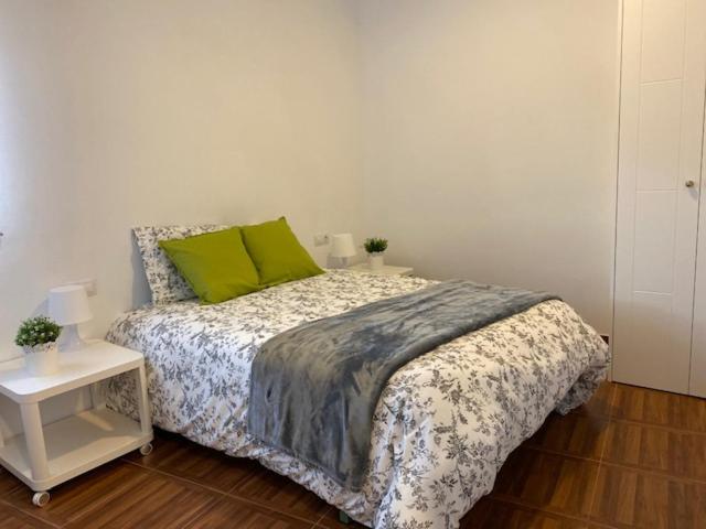 ein Schlafzimmer mit einem Bett mit einem grünen Kissen darauf in der Unterkunft Apartamentos el Balcon del Cañon Valdemaluque in Valdemaluque