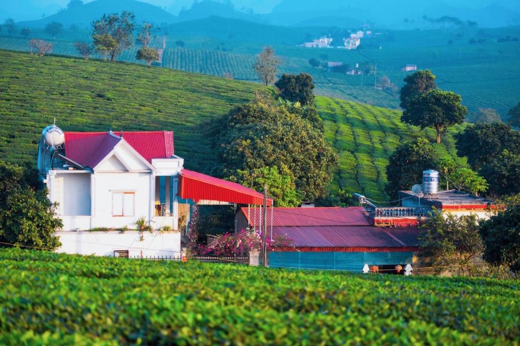 una casa bianca su una collina con il tetto rosso di Homestay Moc Chau a Mộc Châu
