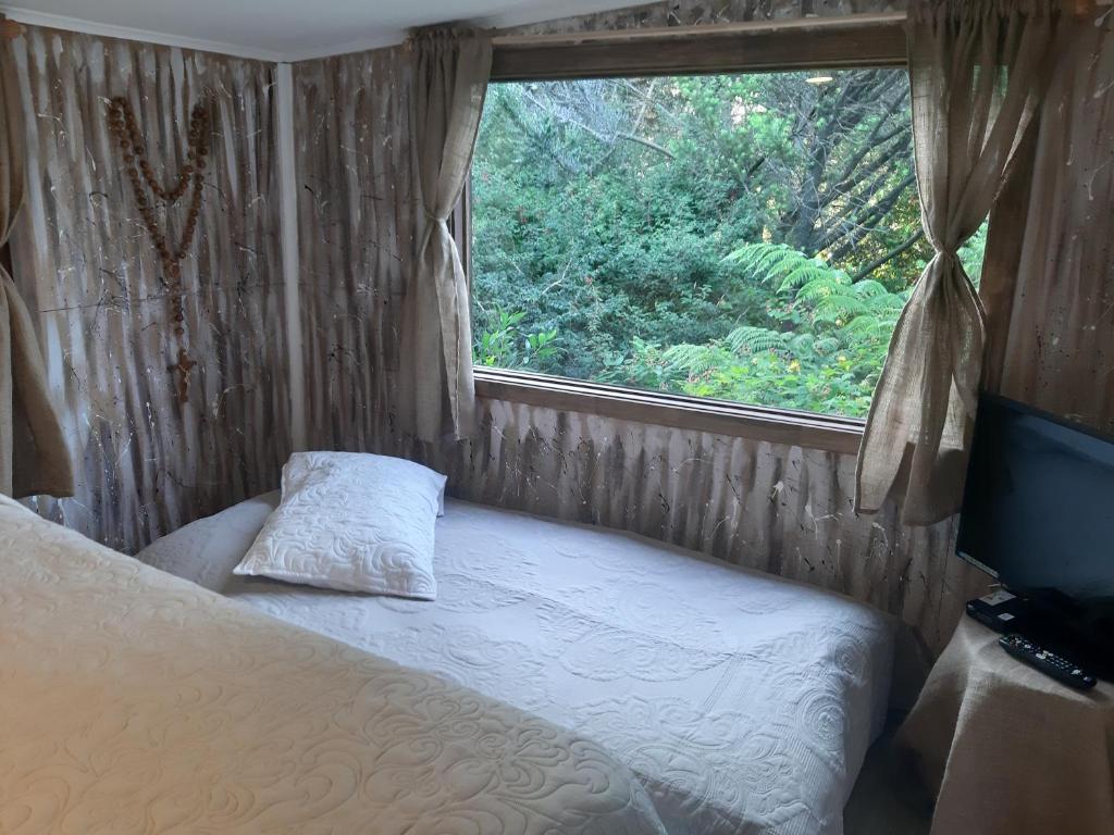 ECO CABAÑA - One-Bedroom House
