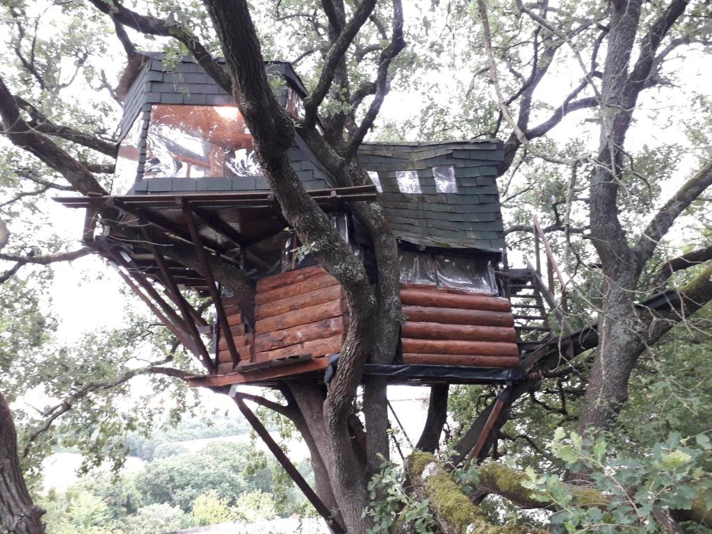 uma casa na árvore numa árvore em B&B La Cabane Insolite em Monès