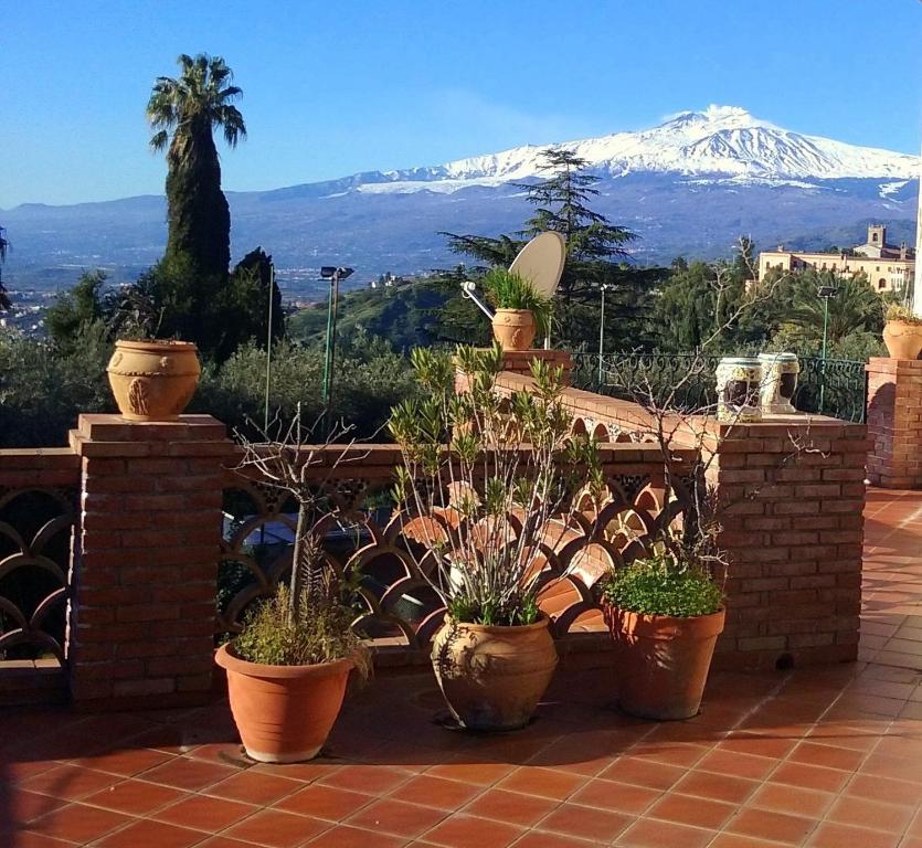 a group of potted plants on a patio with a mountain at I Naviganti in Taormina