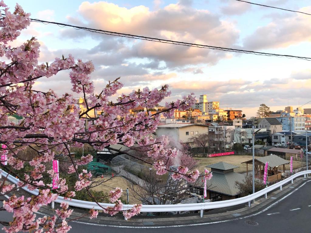 Fotografie z fotogalerie ubytování Izu Hokkawa Seaside Guesthouse 伊豆北川の家 v destinaci Higashiizu