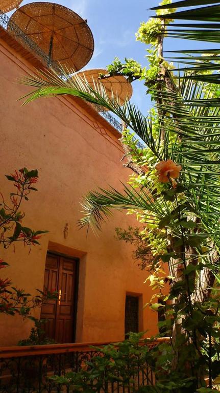 Zahrada ubytování Riad Timadrouine