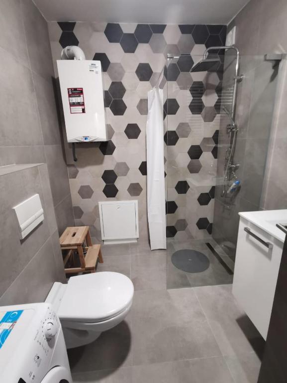 Kúpeľňa v ubytovaní Apartman Gray