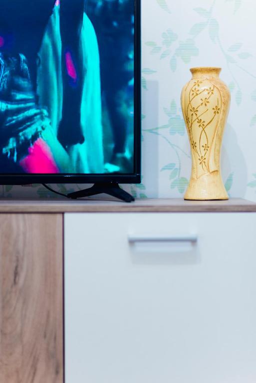 TV a/nebo společenská místnost v ubytování Apartmani Slavica